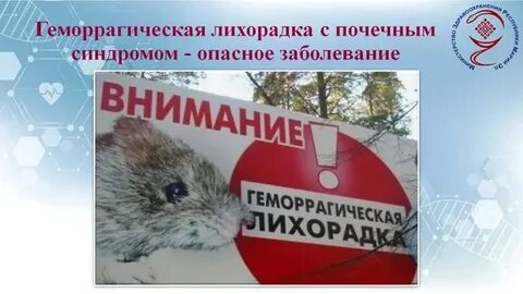Лечение геморрагической лихорадки с почечным