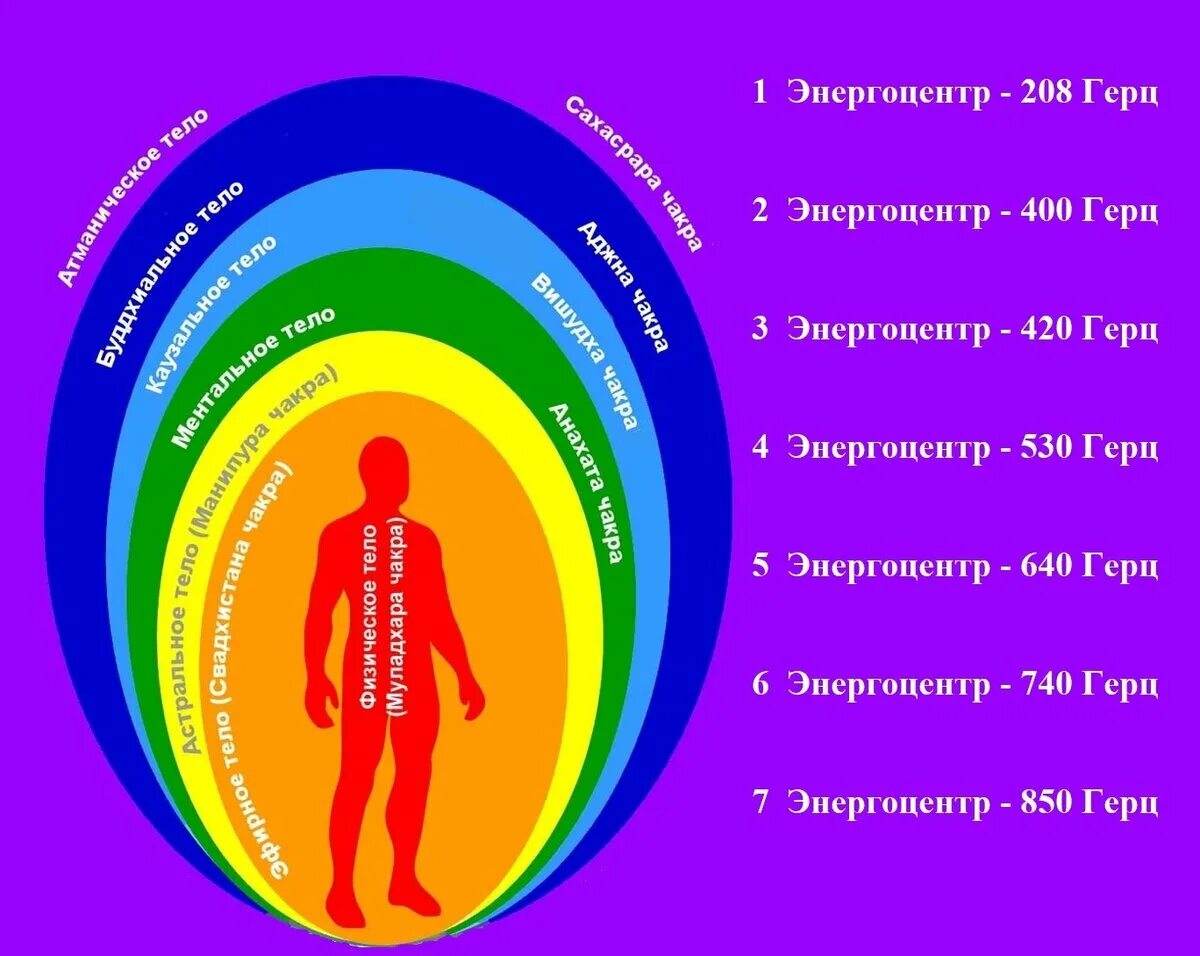 Количество тел человека. Чакры энергетические центры тонких тел. Энергетические тела и чакры человека. Чакры человека 7 чакр энергетики. Тонкие тела человека.