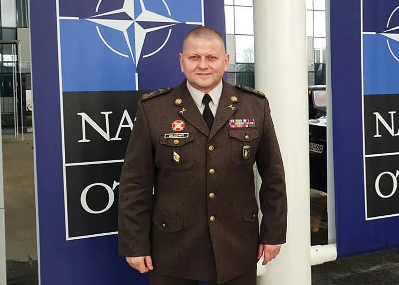 кто вместо залужного