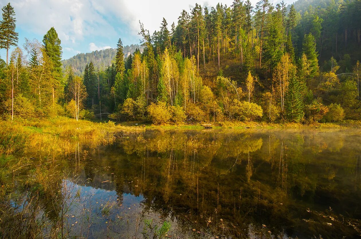 4 дня в тайге. Реки Сибири Бирюса. Бирюса река. Тайга Якутии. Таежные реки Ленинградской области.