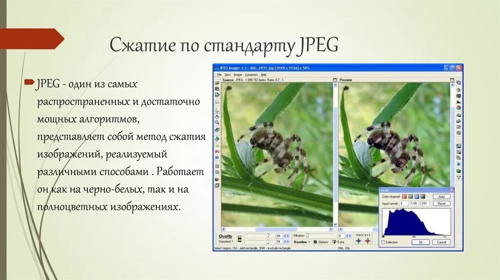 Сжатие изображений. Сжатия изображений пример. Методы сжатия изображений. Метод сжатия jpeg.