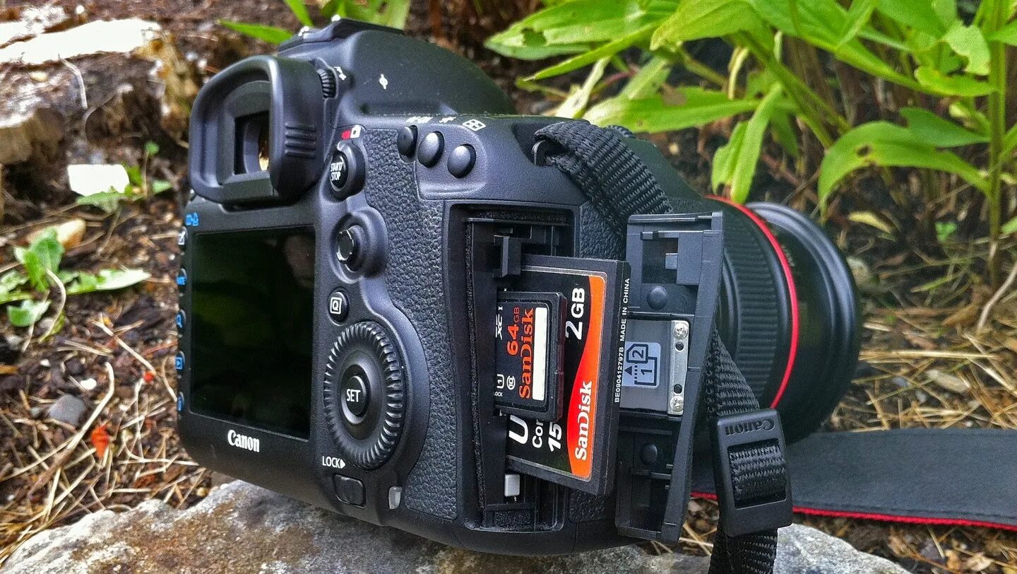 Canon eos 1d mark 3. Canon mark 5d mark iv. Canon 5d mark 5. Пример canon mark. Пример canon mark.