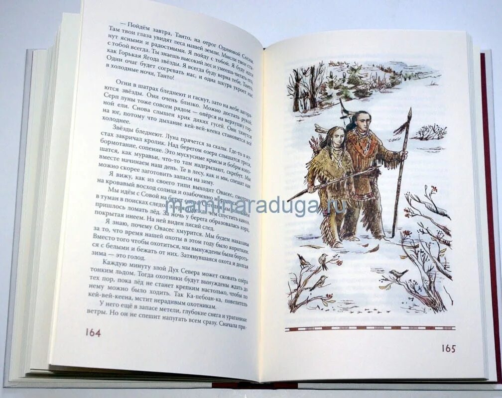 сат ок земля соленых