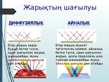 Олар арт жағынан трусики киеді