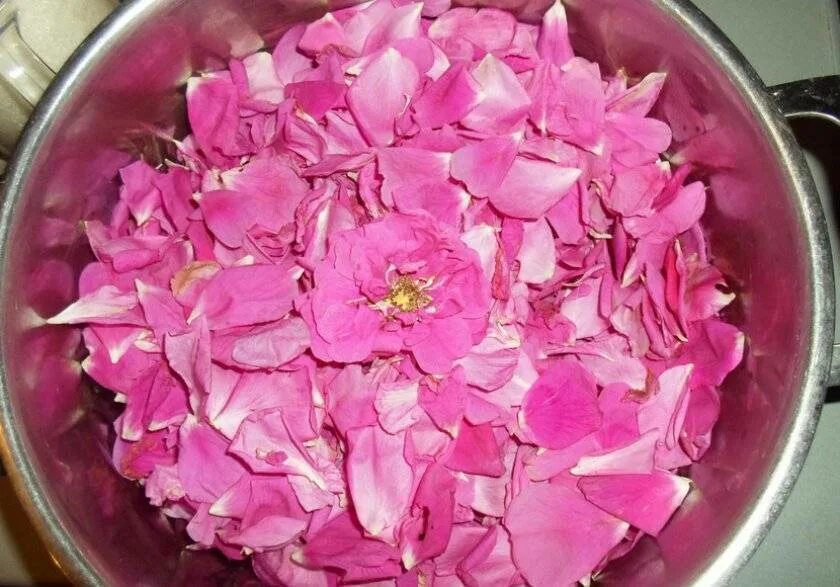 Розовый чай. Чай из лепестков шиповника. Варенье из лепестков шиповника рецепт. Шиповник королевский. Чай с лепестками роз.