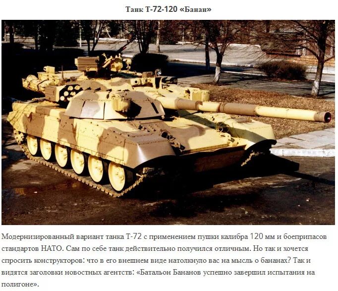 цветочные названия российского оружия. смешные названия военной техники. солнцепек танк огнеметный. оружие с цветочными названиями. смешные названия заведений.