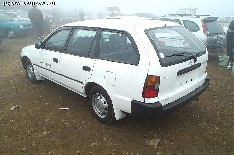 Тойота спринтер универсал. Toyota Corolla ee103. Toyota Sprinter Wagon. Тойота Спринтер 103 кузов. Toyota Corolla 103 кузов.