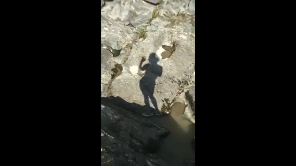 Одинокие женщины новосибирска. Женщины 50 55 лет для серьезных отношений. Женщина ищет женщину новосибирск. Женщина ищет женщину новосибирск. Женщины новосибирска.