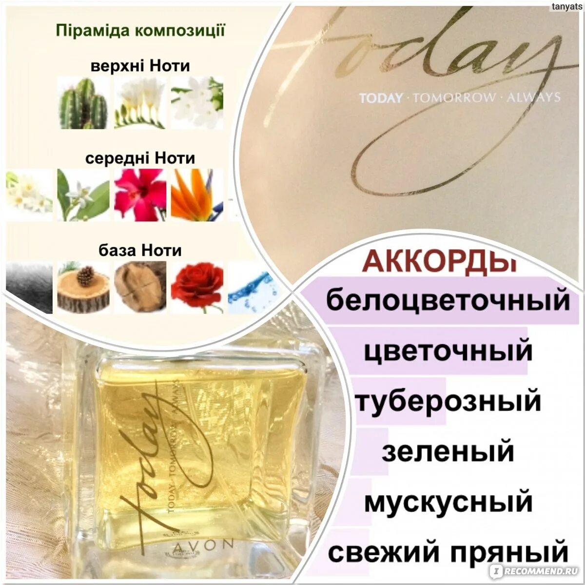 Тудей тверь. Avon today женский аромат Ноты. Тудей духи эйвон женские Ноты. Тудей духи эйвон женские 100мл. Today Avon Ноты.