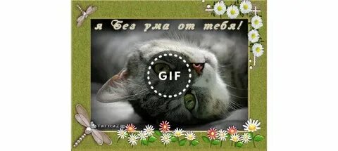 Безума от тебя