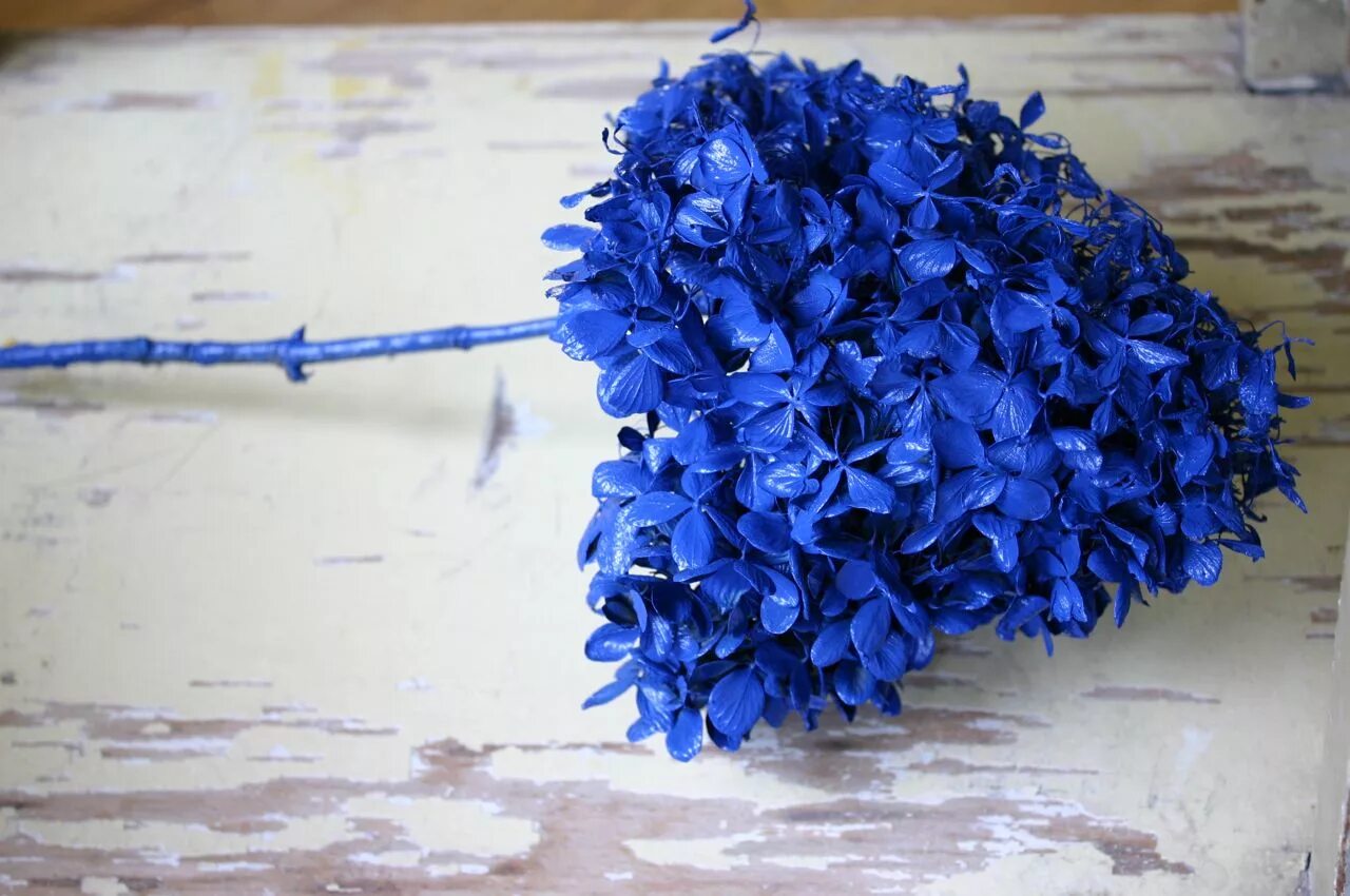 что можно сделать из голубого цвета. торт синий бархат. бирюзовые цветы. что можно сделать из голубого цвета. чай матча тайский синий (анчан).