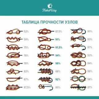 Таблица узлов