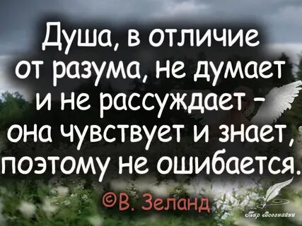 Душа цитаты - 📝 Афоризмо.ru.