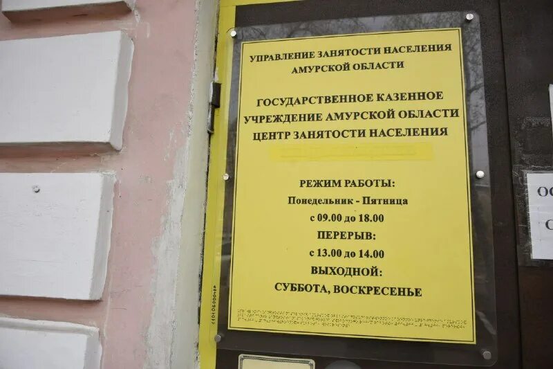 центр занятости советского района. гку города москвы центр занятости населения города. структура центра занятости населения новосибирск. центр занятости вывеска. листовки центра занятости.