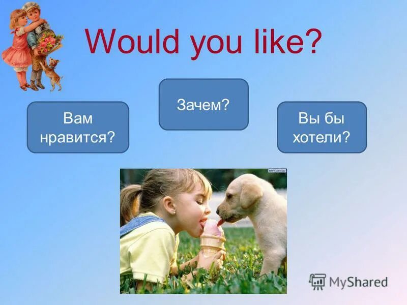 Do you like being. Would you like. do you like what you see. do you like animals ответ. what do you like.