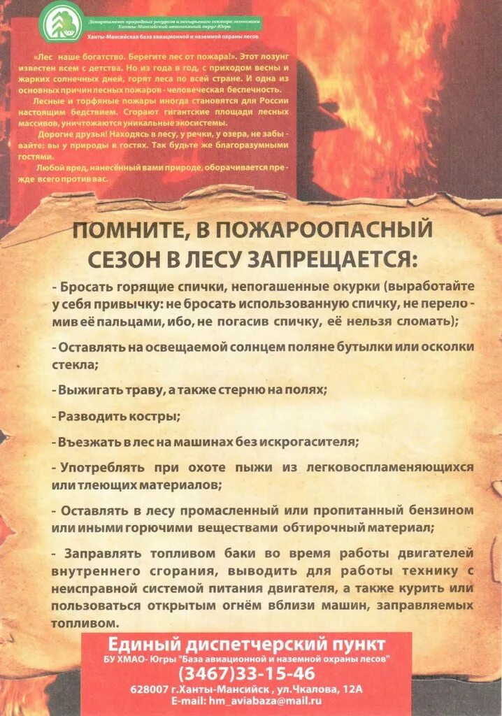 Правила пожароопасного поведения. Правила поведения в лесу в пожароопасный. Правила поведения при возникновении пожара 2 класс. Памятка по пожарам в лесу. Памятка пожар в лесу.