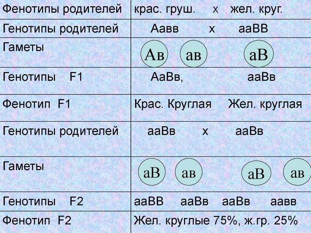 Какие гаметы образует генотип aabb. ААВВ генотип. Гаметы ААВВ. Генотипы родителей. Генотип и фенотип в задачах.