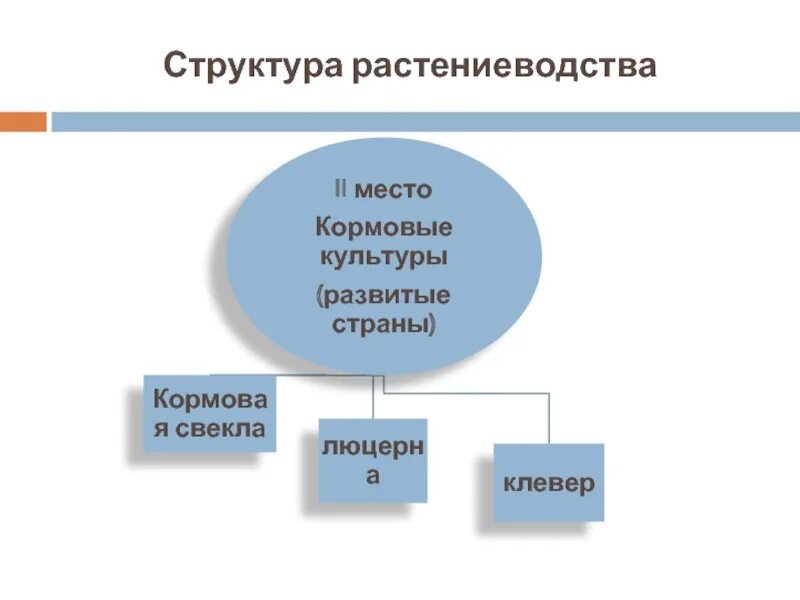 Схема отраслевой структуры животноводства. Структура растениеводства. структура растениеводства в россии. отраслевая структура растениеводства. структура растениеводства схема.