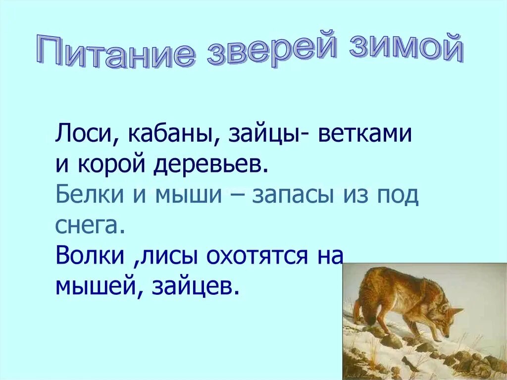 Жизнь животных зимой презентация 2 класс. Жизнь животных зимой презентация. звери зимой презентация 2 класс. чем питаются звери зимой. животные зимой 2 класс окружающий мир.