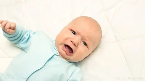 Why Does Baby's Breath Stink