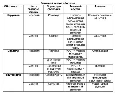 Тканевой состав органа