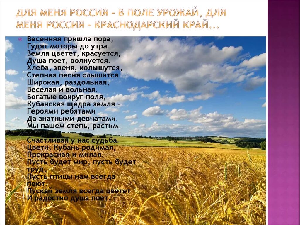 Родной край сколько. Стихотворение поле. Стих про поле короткий. Русское поле стих. Родная Кубань.