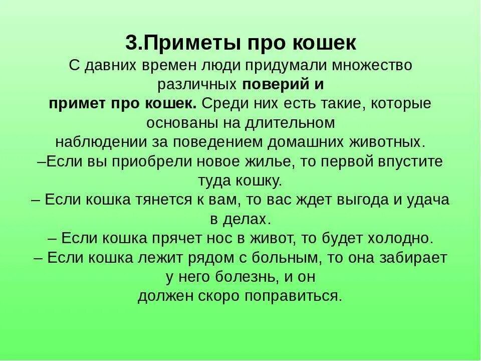 50 примет. Интересные приметы. Народные приметы про кошек. Народные приметы о людях. Приметы в семье.