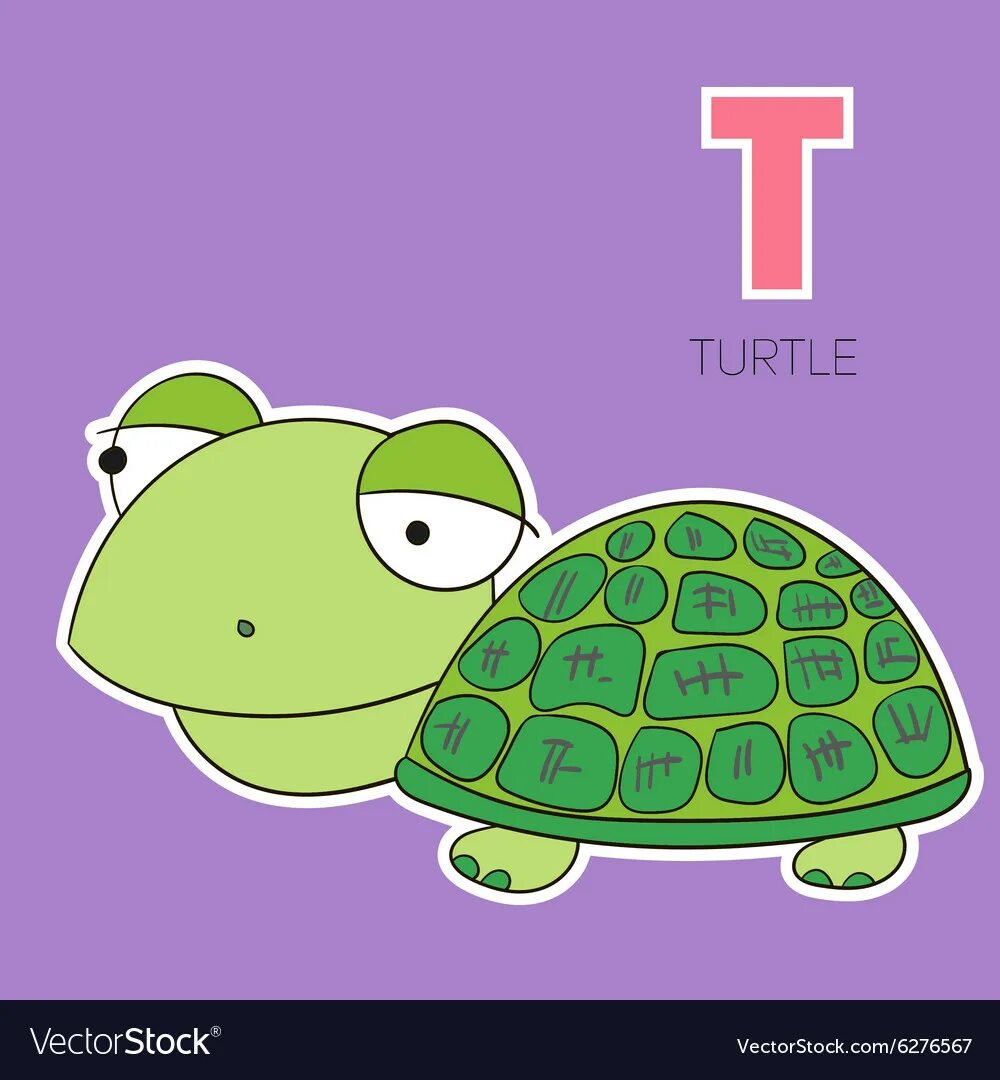 T turtle. Черепашка рисунок. Рисунок черепахи цветной. Рисунок черепахи цветной для детей. Буква д с черепашкой.