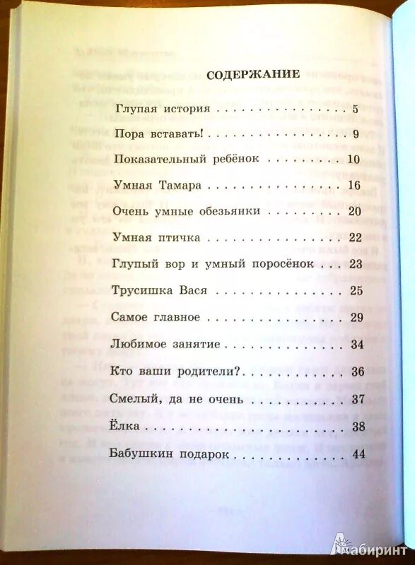 Краткое содержание глупая. Сколько страниц в рассказе. Зощенко рассказы оглавление. Зощенко глупая история сколько страниц. Зощенко Карусель книга.