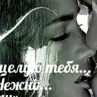 Песня украду тебя красивую ласковую милую