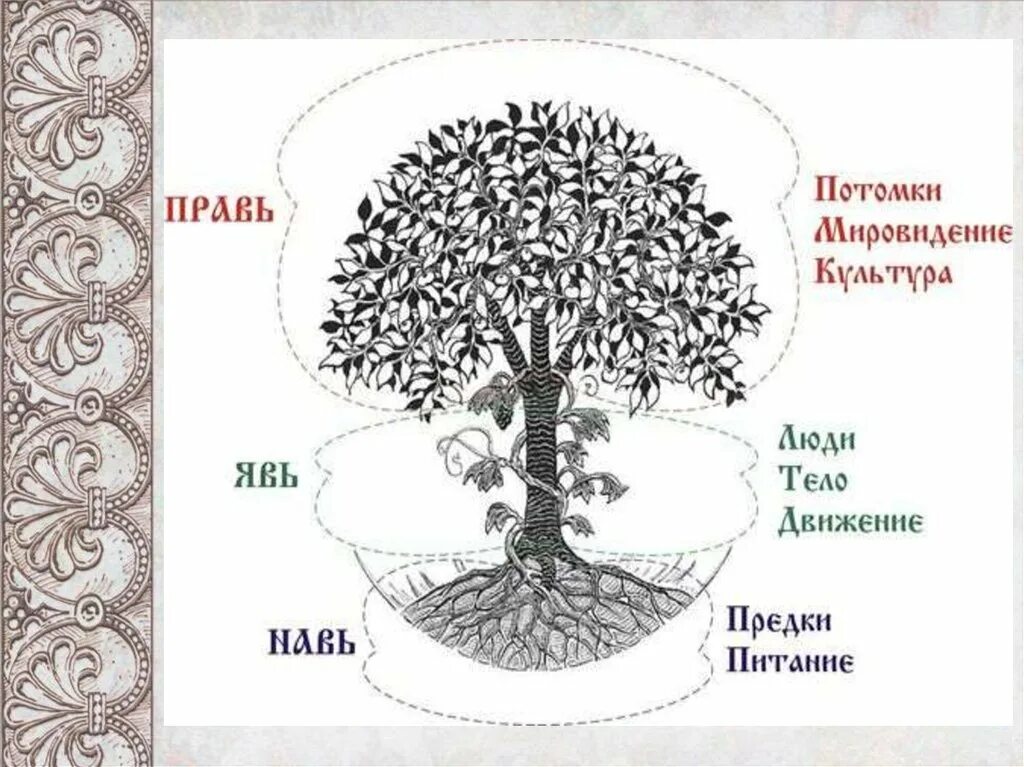 Мировое Древо древних славян. Мировое Древо восточных славян. Мировое дерево у славян. Славянское мировое Древо жизни.