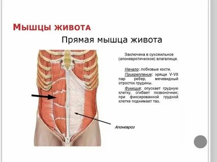 Воспаление мечевидного отростка грудины