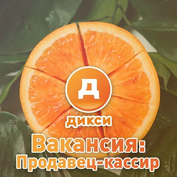 Дикси с 1 января 2025 года. Дикси требуются. дикси прикол. дикси мемы. бейдж дикси.