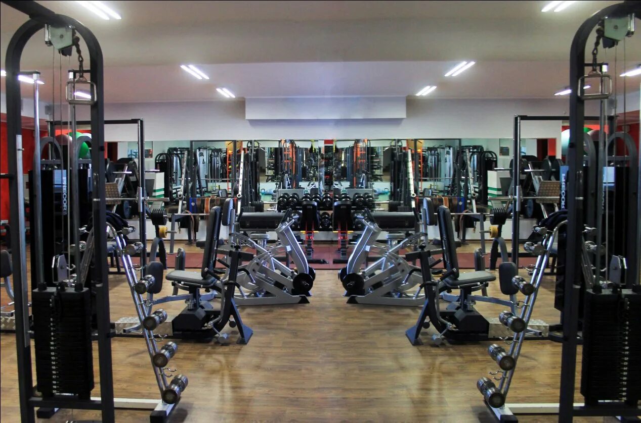 Фитнес клуб лидер. Фитнес клуб Ukraine. Цвета для фитнес клуба. Оливковый БВР В фитнес клубе.