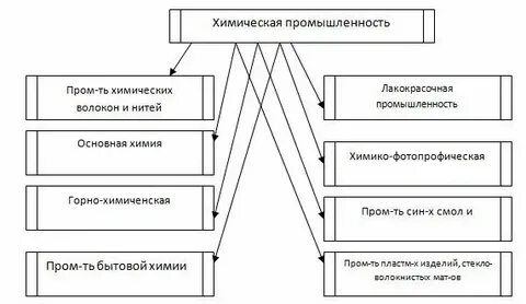 На какие группы делится общество