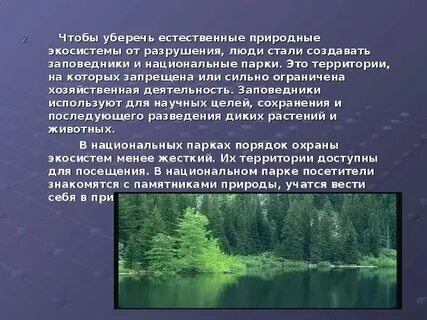 Природные экосистемы охраняют в