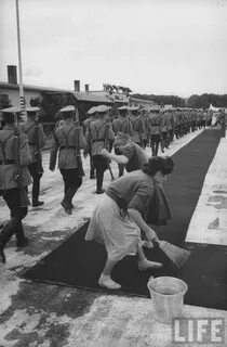 Май 1955