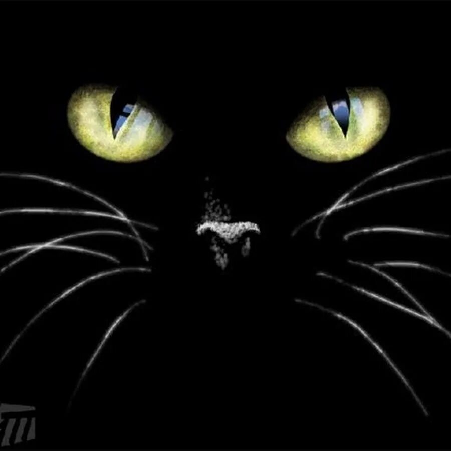 Кошачьи глаза в темноте. Глаза кота в темноте. Кот в темноте. Картина кошачьи глаза в темноте. Нарисуй темноту