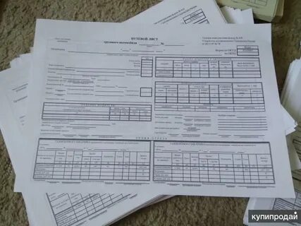 Путевой лист без механика