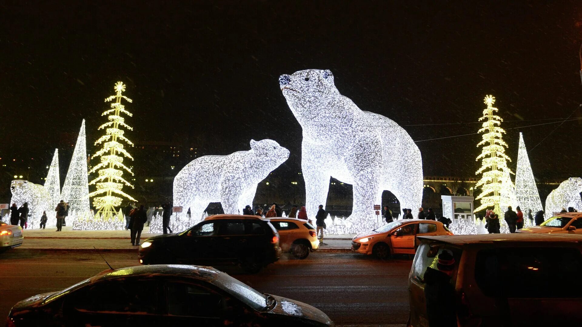 Медведь в новом городе
