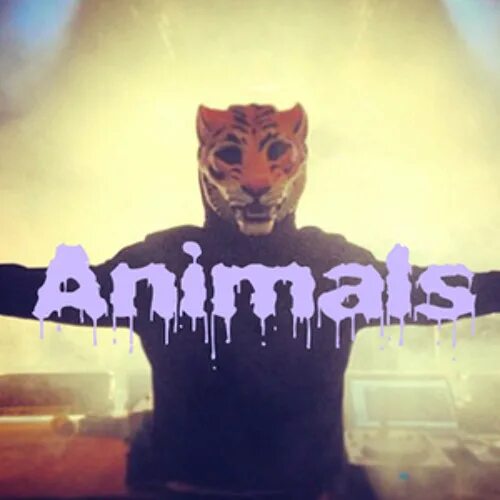 Martin Garrix animals. Martin Garrix animals обложка. Martin Garrix animals 2013.