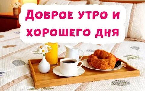 Доброе утро семья картинки смешные