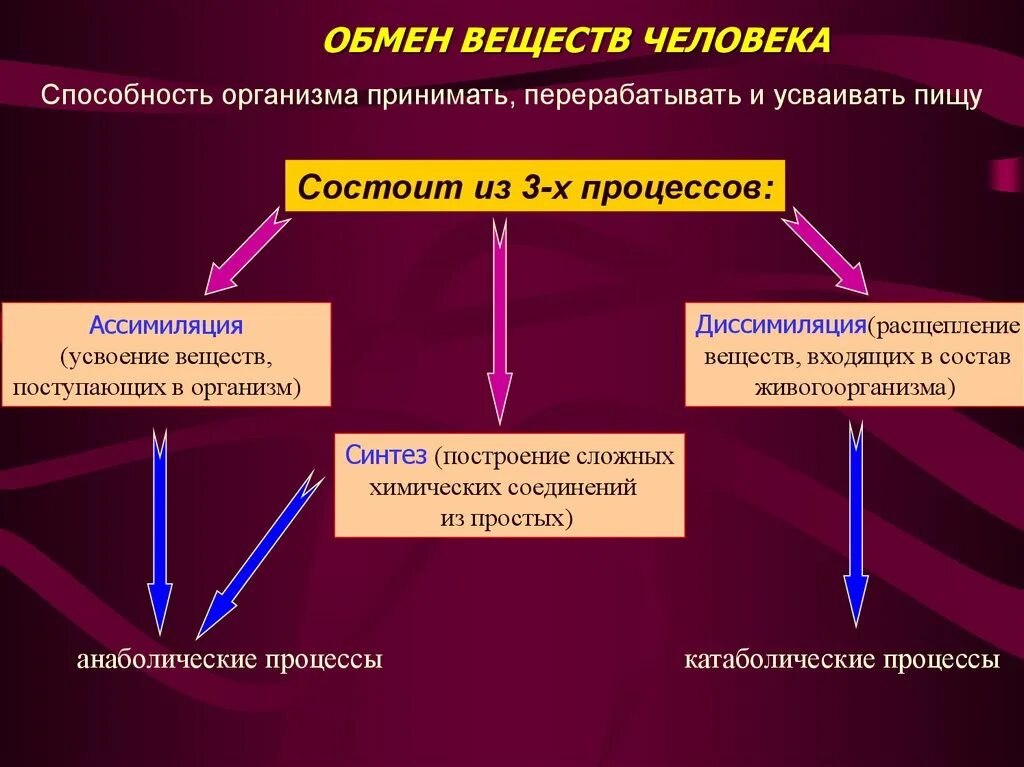 Обмен веществ.основные процессы обмена веществ в организме.. Особенности обмена веществ у детей. Особенности метаболизма у детей. Особенности обмена веществ и энергии у детей.