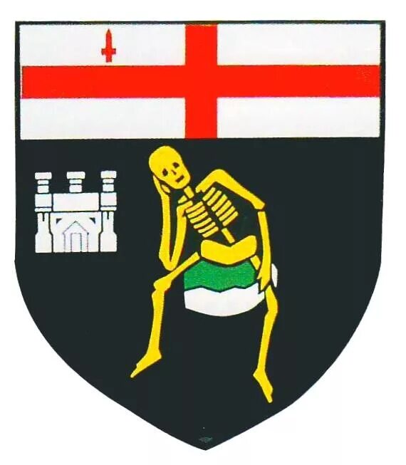 самые необычные гербы городов. самые необычные гербы городов россии. архангельск символ города. гербы городов россии. герб города цебст.