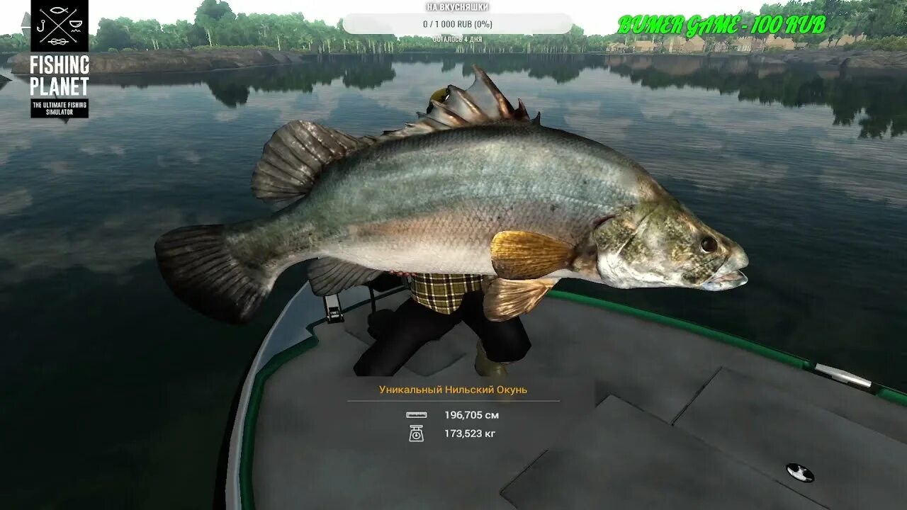 Окунь задира лесни вила. Рыбалка в чехии. Fishing planet окунь. Эмеральд fishing planet. Fishing planet окунь.