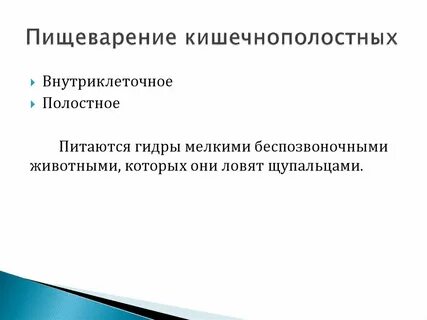 Внутриклеточное пищеварение