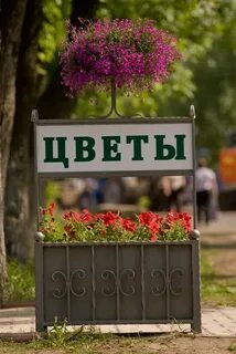 Цветы лазаревское ярославль