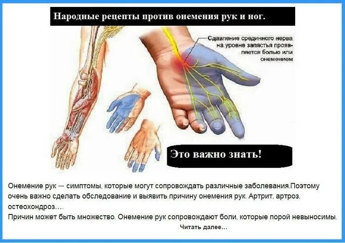 Почему сводит руки и пальцы на руках. Анимение пальцев налево руке. МНЕМТ пальцы на левой руке.