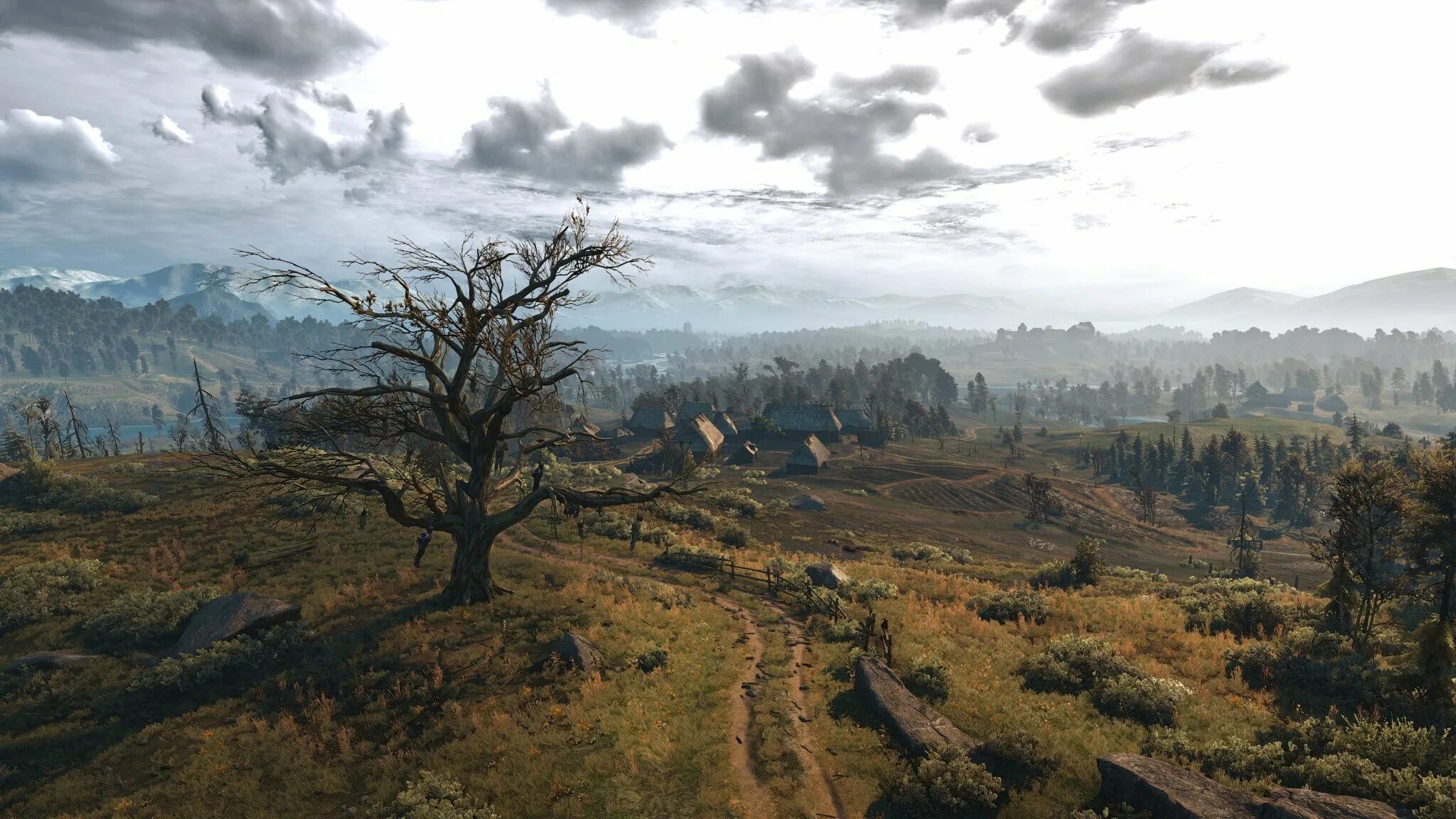 Witcher 3 2025