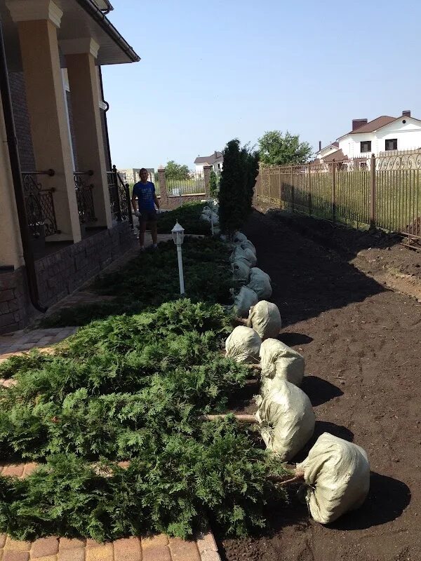 Купить сад пенза